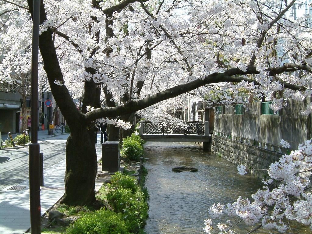 Hotel Ponto Kyoto Buitenkant foto